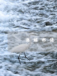 诸城市法律援助中心地址
