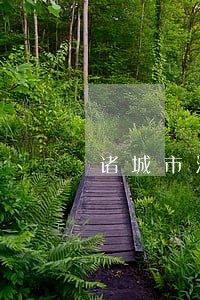 诸城市法院如何联系