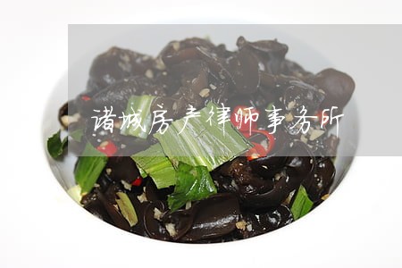 诸城房产律师事务所 诸城房产律师事务所