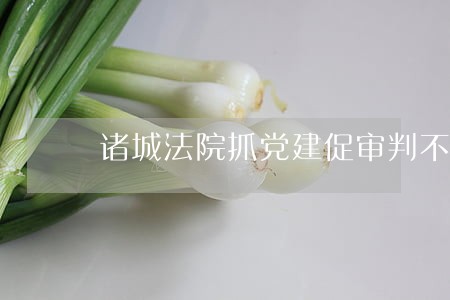 诸城法院抓党建促审判不断