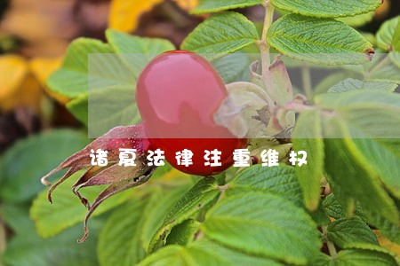 诸夏法律注重维权 诸夏法律注重维权