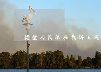 诸暨人民法在最新上网的失信人员 诸暨人民法在最新上网的失信人员