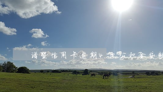 诸暨信用卡逾期4次公积金贷款 诸暨信用卡逾期4次公积金贷款