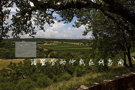 诸暨劳动仲裁在线咨询 诸暨劳动仲裁在线咨询