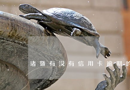诸暨有没有信用卡逾期的处理律师