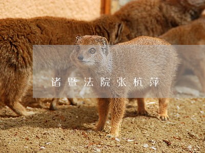 诸暨法院张杭萍 诸暨法院张杭萍