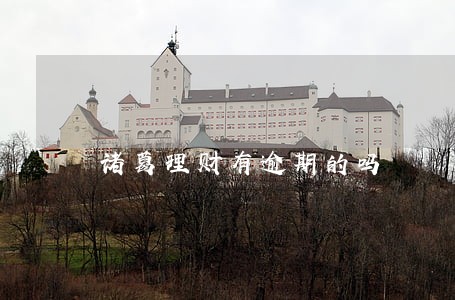 诸葛理财有逾期的吗 诸葛理财有逾期的吗