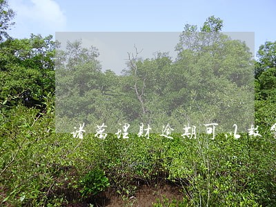 诸葛理财逾期可以报警吗 诸葛理财逾期可以报警吗