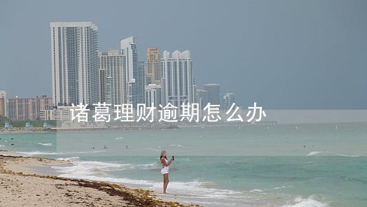 诸葛理财逾期怎么办