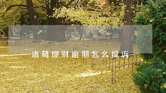 诸葛理财逾期怎么投诉 诸葛理财逾期怎么投诉