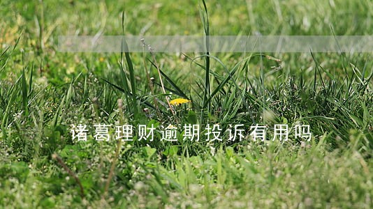 诸葛理财逾期投诉有用吗 诸葛理财逾期投诉有用吗