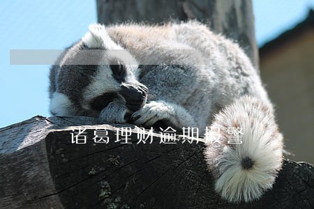 诸葛理财逾期报警 诸葛理财逾期报警