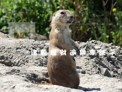诸葛理财逾期李跃平 诸葛理财逾期李跃平