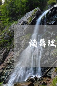 诸葛理财逾期款到哪里申诉 诸葛理财逾期款到哪里申诉