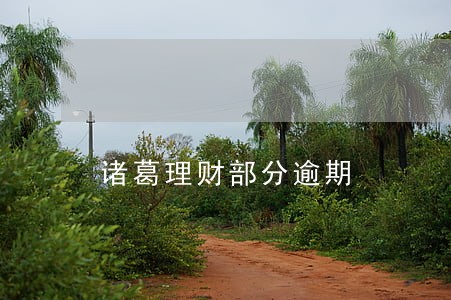 诸葛理财部分逾期 诸葛理财部分逾期