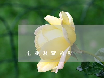 诺亚财富逾期 诺亚财富逾期
