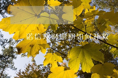 诺信理财逾期如何补救 诺信理财逾期如何补救