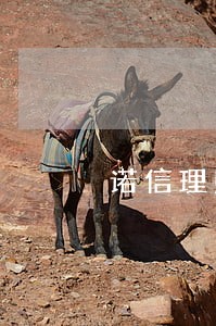 诺信理财逾期怎么处理 诺信理财逾期怎么处理