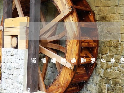 诺信理财逾期怎么补回来 诺信理财逾期怎么补回来