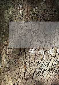 诺信理财逾期补回 诺信理财逾期补回
