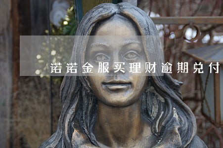 诺诺金服买理财逾期兑付怎么办 诺诺金服买理财逾期兑付怎么办