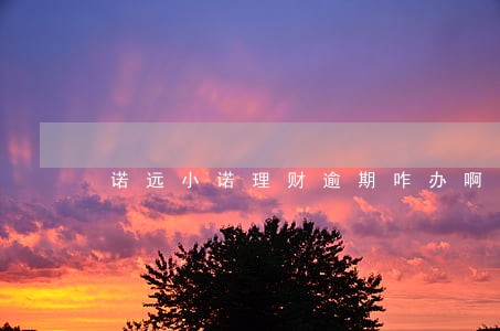 诺远小诺理财逾期咋办啊 诺远小诺理财逾期咋办啊