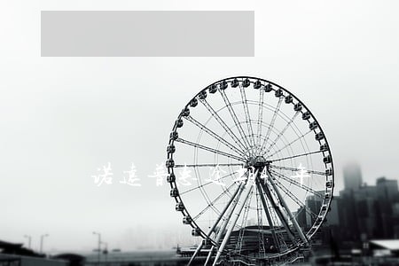 诺远普惠逾期4年 诺远普惠逾期4年