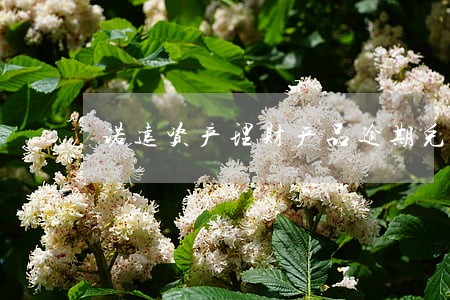 诺远资产理财产品逾期兑付 诺远资产理财产品逾期兑付