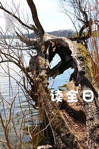 读全日制研究生律师证要吊销吗 读全日制研究生律师证要吊销吗