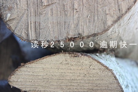 读秒25000逾期快一年了 读秒25000逾期快一年了