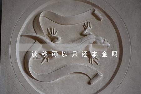 读秒可以只还本金吗 读秒可以只还本金吗