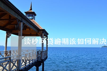 读秒网贷逾期该如何解决呢 读秒网贷逾期该如何解决呢