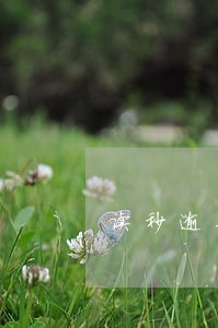 读秒逾期2小时 读秒逾期2小时