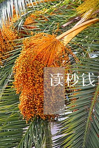 读秒钱包逾期1年 读秒钱包逾期1年