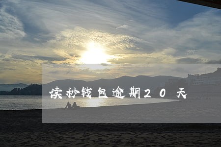 读秒钱包逾期20天 读秒钱包逾期20天