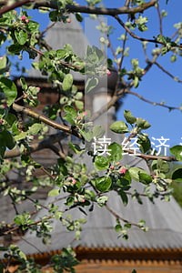 读经济法指导书 读经济法指导书