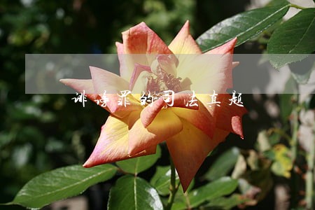 诽谤罪的司法真题 诽谤罪的司法真题