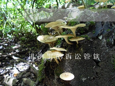 诽谤罪的诉讼管辖 诽谤罪的诉讼管辖