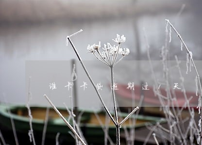 谁卡卡贷逾期过1天 谁卡卡贷逾期过1天
