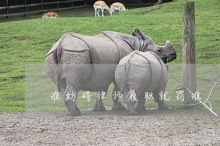 谁妨碍律师履职就罚谁