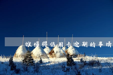 谁懂得信用卡逾期的事情 谁懂得信用卡逾期的事情