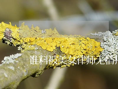 谁料被美女律师无情揭穿 谁料被美女律师无情揭穿