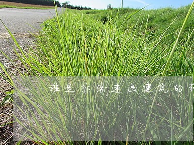 谁是拆除违法建筑的强制执法主体 谁是拆除违法建筑的强制执法主体