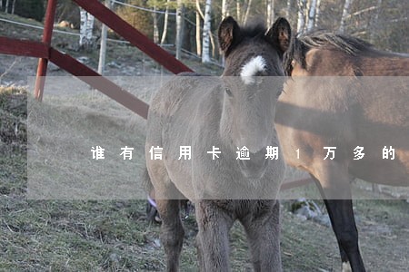 谁有信用卡逾期1万多的图片