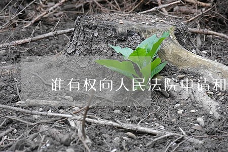 谁有权向人民法院申请和解