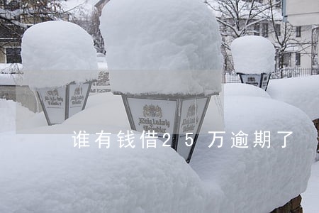谁有钱借25万逾期了 谁有钱借25万逾期了