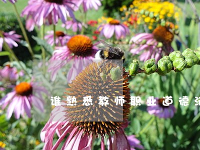 谁熟悉教师职业道德法律的 谁熟悉教师职业道德法律的