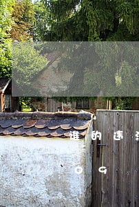 谁的违法率最高/2023020550709 谁的违法率最高/2023020550709