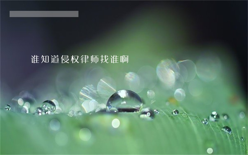 谁知道侵权律师找谁啊 谁知道侵权律师找谁啊