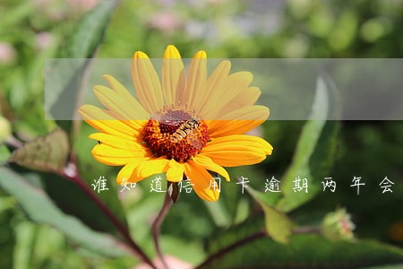 谁知道信用卡逾期两年会不会上门 谁知道信用卡逾期两年会不会上门